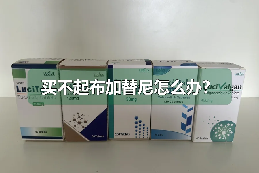 买不起布加替尼怎么办？