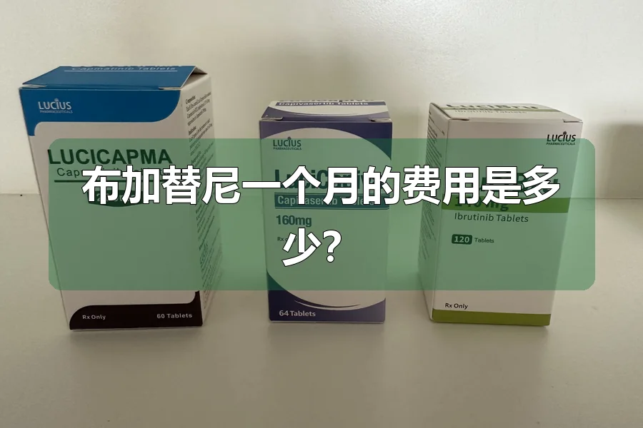布加替尼一个月的费用是多少？